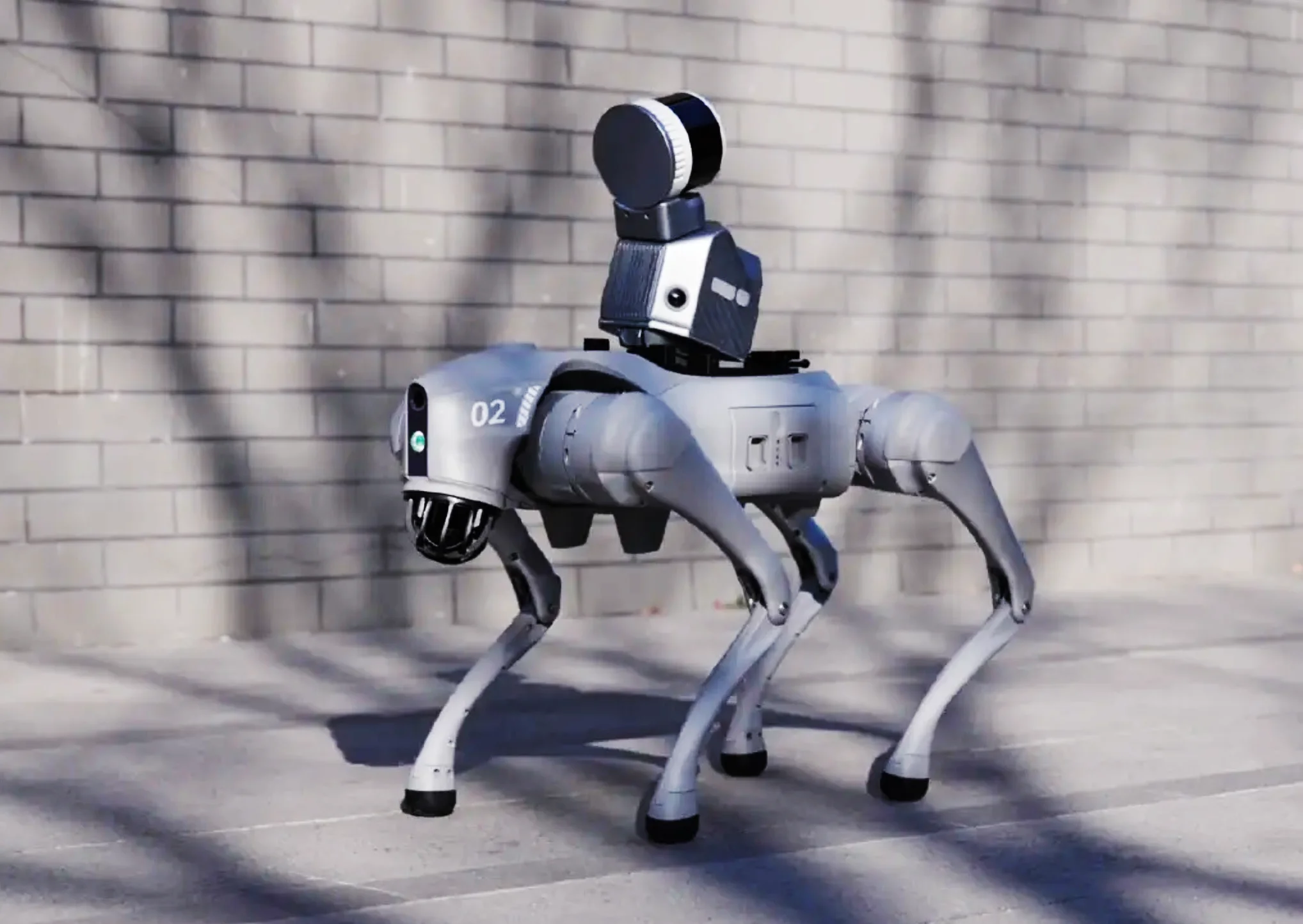 DOG ROBOT